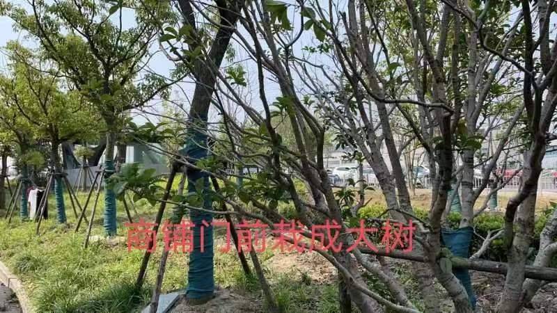 上海应切实解决市民生活火狐电竞困惑(图2)
