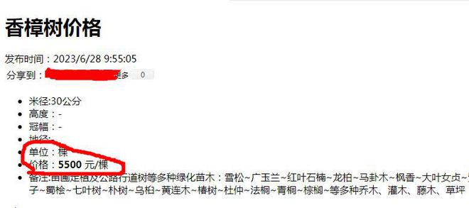 火狐电竞一棵树引发的罚款！上海大爷种了一棵香樟树结果被罚14万多！(图9)