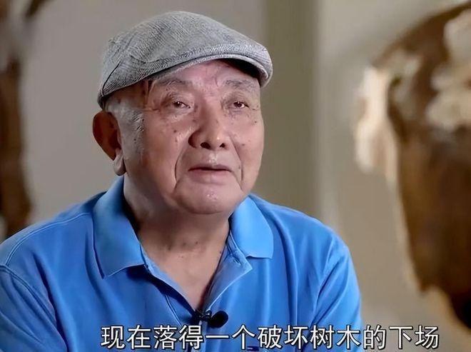 火狐电竞一棵树引发的罚款！上海大爷种了一棵香樟树结果被罚14万多！(图11)