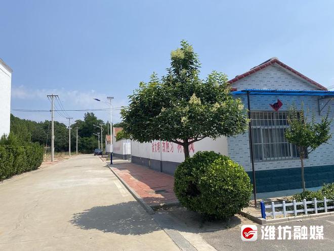 以家庭“小美”汇火狐电竞聚乡村“大美”(图3)