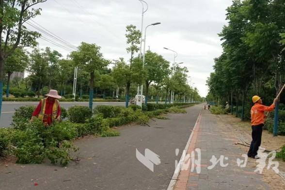 火狐电竞孝昌：迎“烤”而战 做好夏季绿化养护管理(图2)
