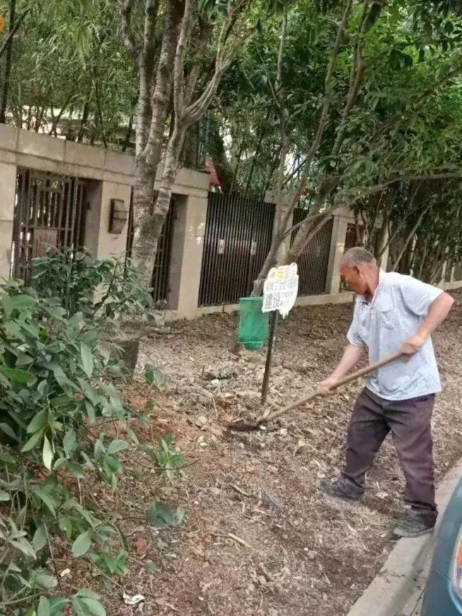 新华橙+生态绿！街道落实林长制道路绿化环境大变样火狐电竞(图3)