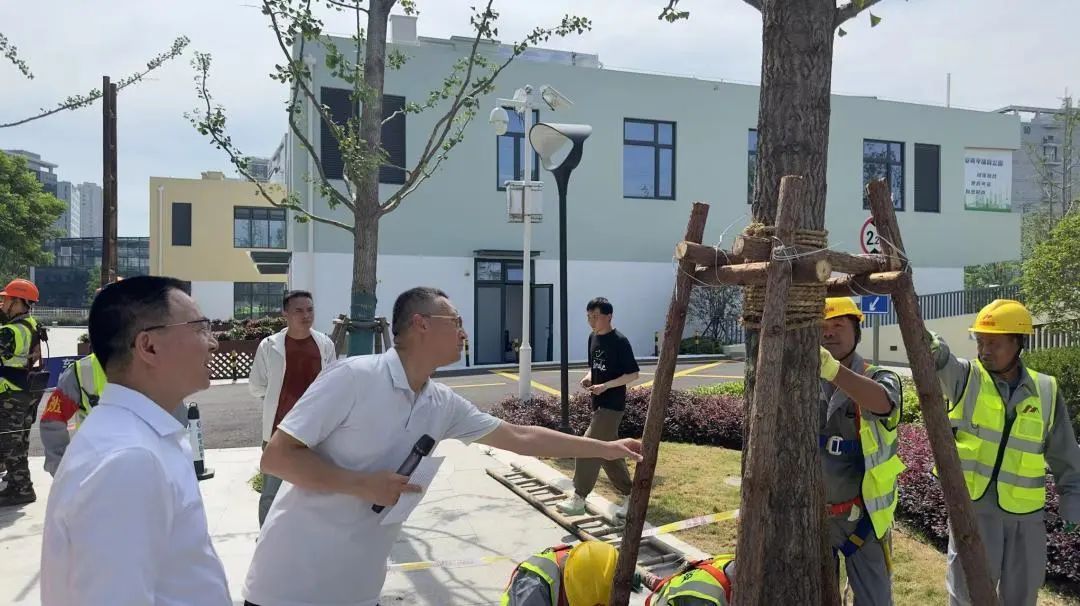 火狐电竞区绿化市容局举行防汛防台应急抢险演练(图2)