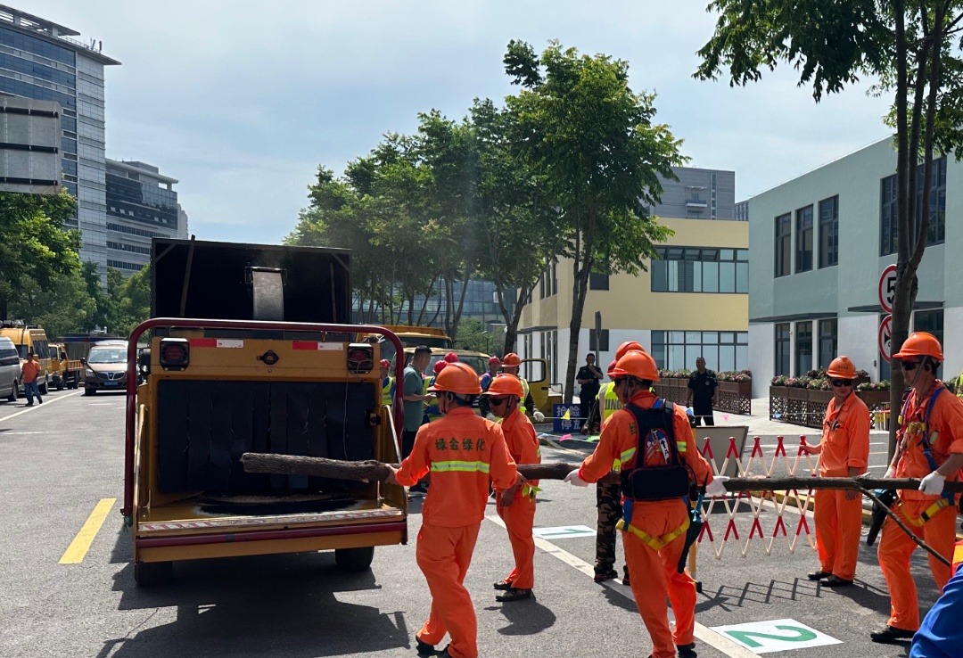 火狐电竞区绿化市容局举行防汛防台应急抢险演练(图3)