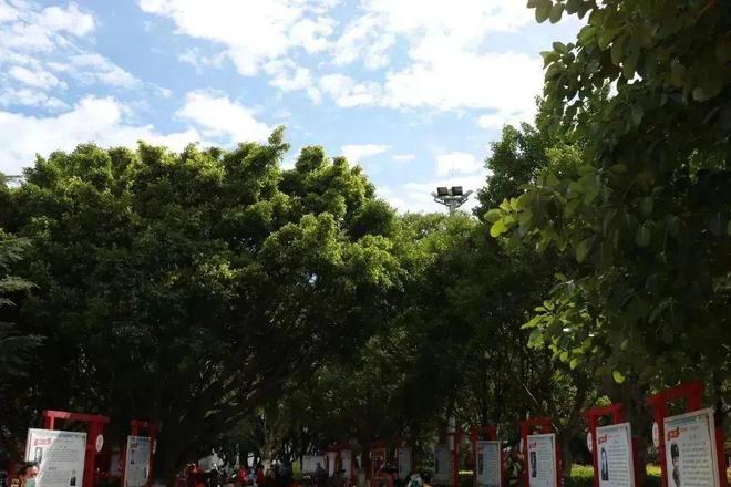 火狐电竞“微更新”注入“大活力”园林绿化焕发城市新风貌(图4)