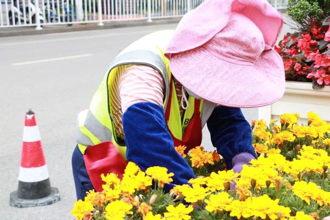 火狐电竞“微更新”注入“大活力”园林绿化焕发城市新风貌(图2)