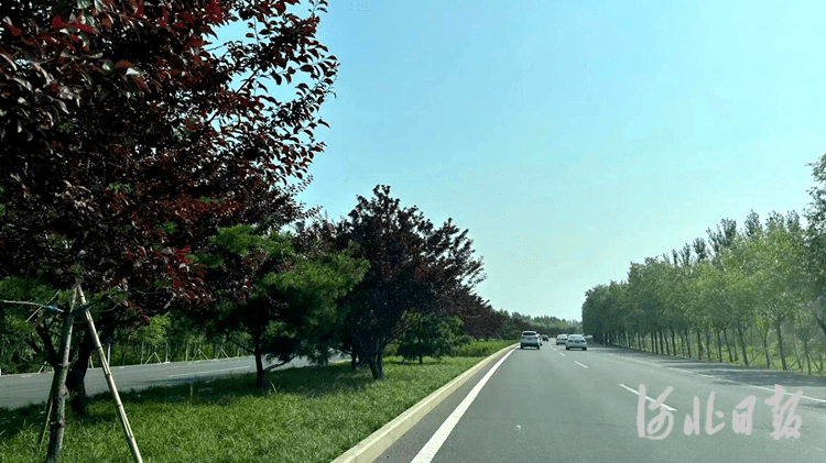 火狐电竞北戴河区绿化补植工作完成(图1)