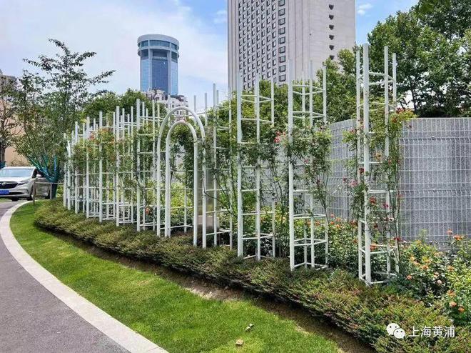 火狐电竞上新啦！黄浦又有两个“口袋公园”建成开放！(图6)