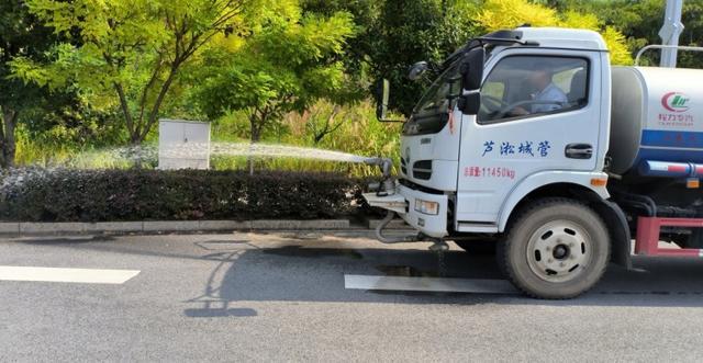 芦淞区园林绿化中心：烈日下坚守的“绿衣人”火狐电竞(图1)