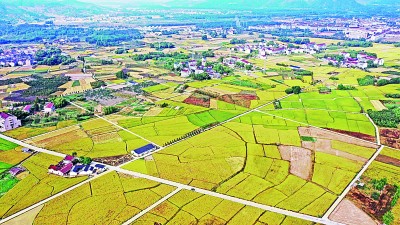 推动火狐电竞绿色发展 促进人与自然和谐共生(图1)