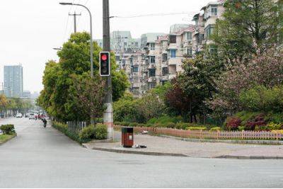 火狐电竞为何国内道路很多绿化带美国却几乎没有？看完知道差距(图3)