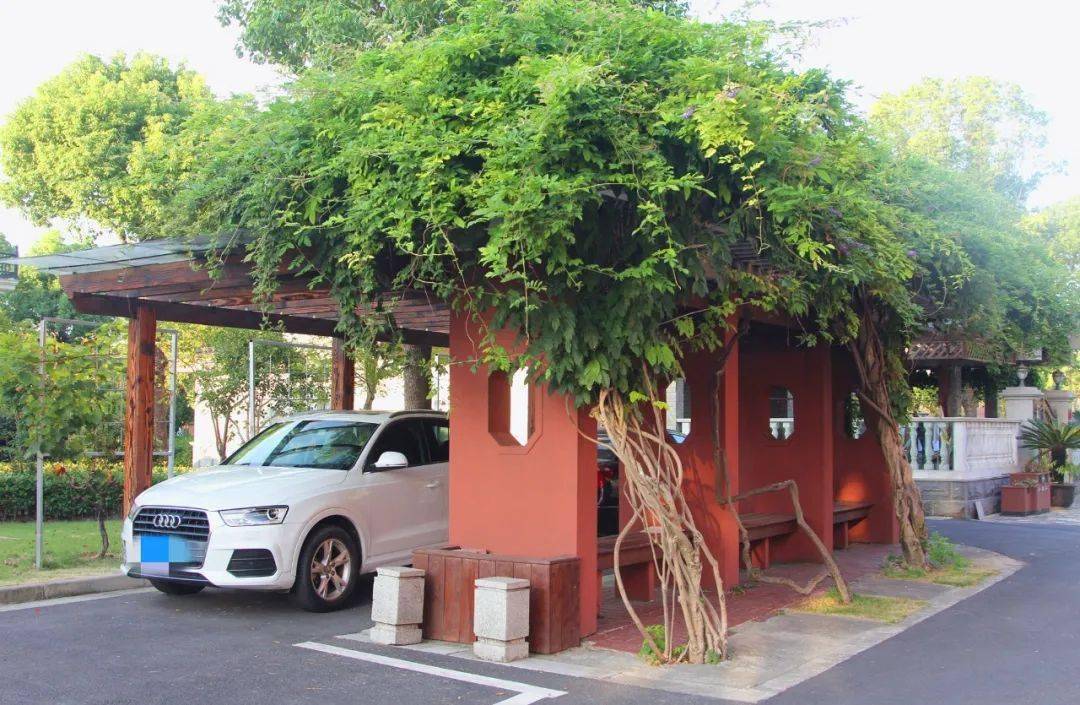小区既要停车又要绿化如何操作？权威版回火狐电竞答来了丨民生访谈(图1)