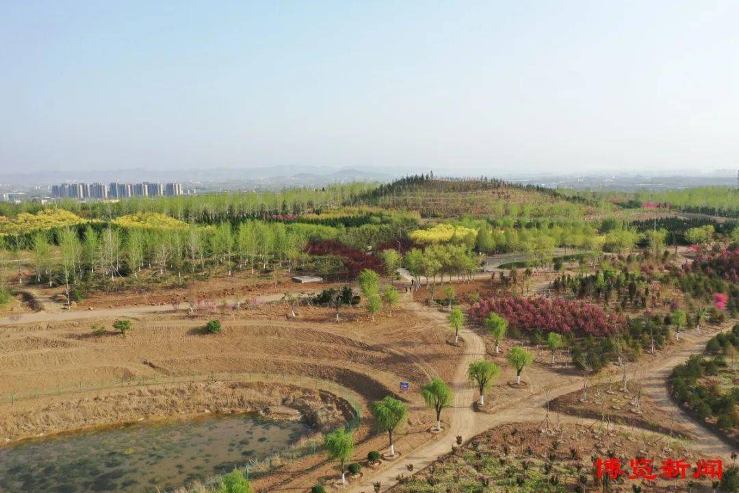 绿化为笔绘就生态淄博壮美画卷火狐电竞(图4)