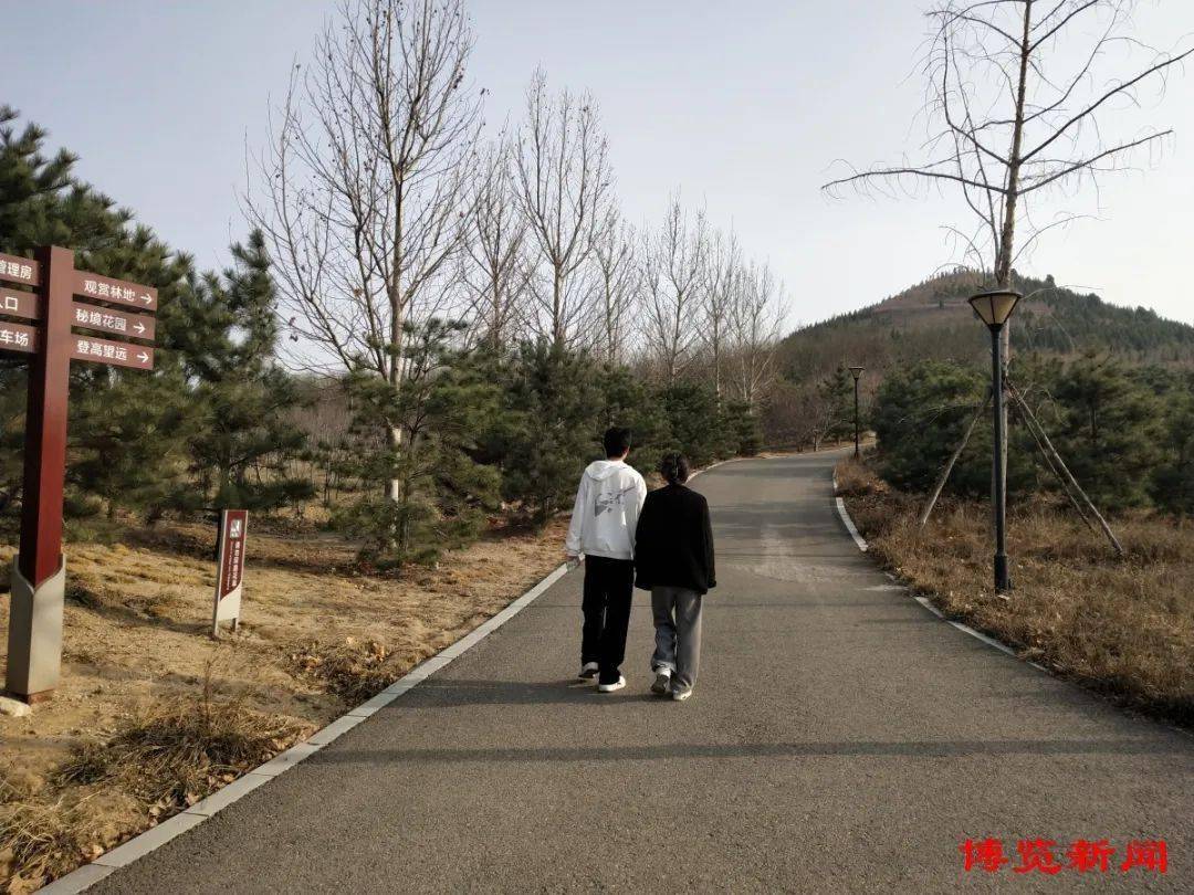 绿化为笔绘就生态淄博壮美画卷火狐电竞(图1)