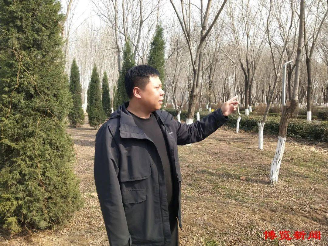 绿化为笔绘就生态淄博壮美画卷火狐电竞(图2)