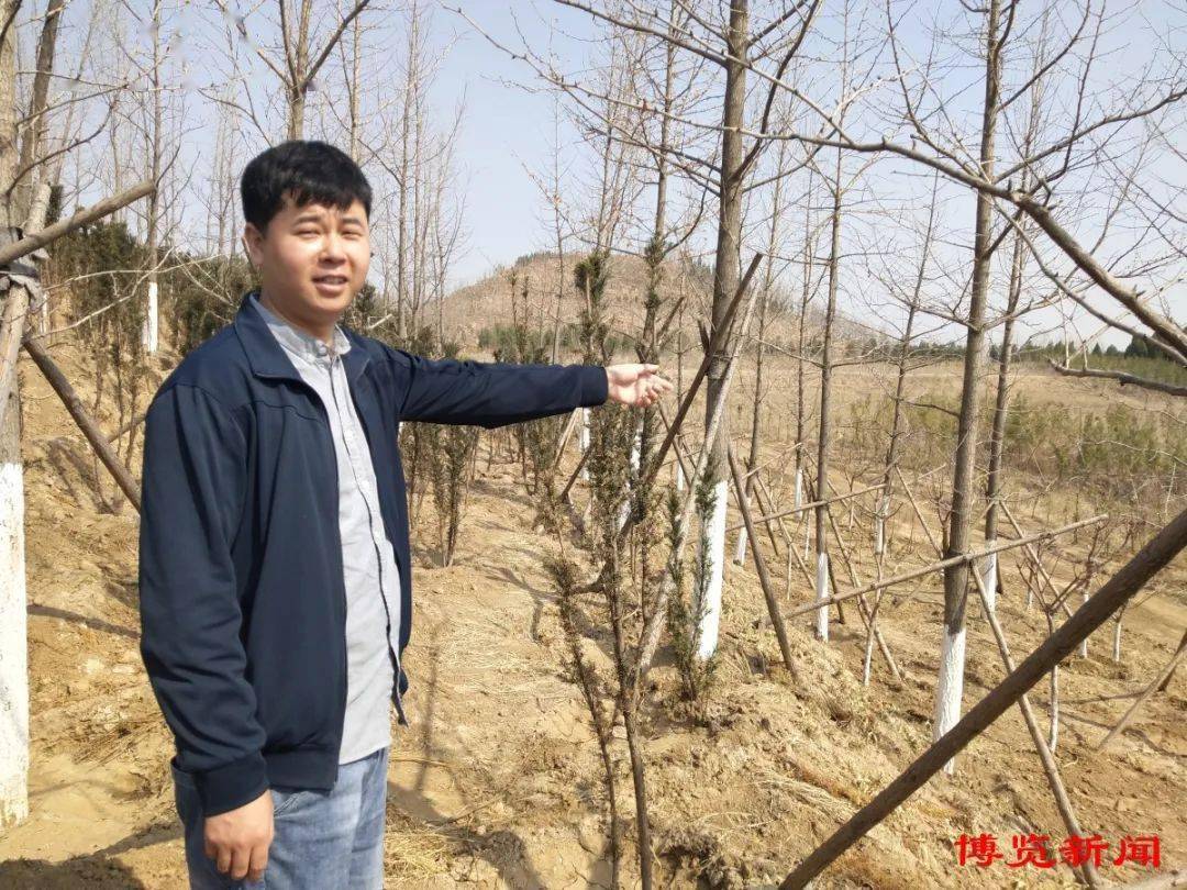 绿化为笔绘就生态淄博壮美画卷火狐电竞(图3)