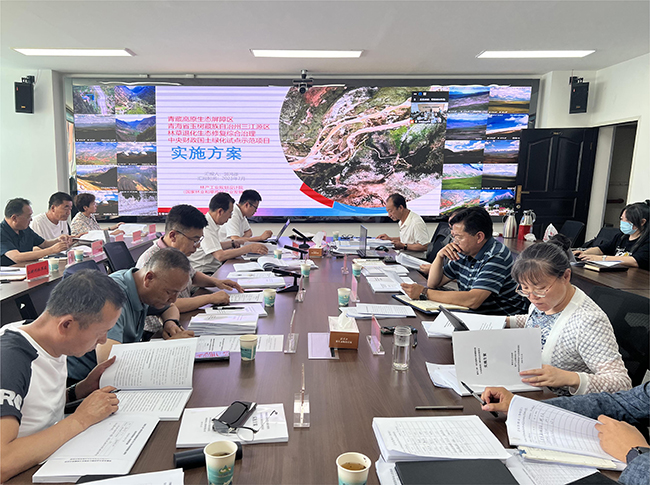 发展院编制的《青藏高原生态屏障区青海省玉树藏族自治州三江源区林草退化生态修复综合治理中央财政国土绿化试点示范项目实施方案》通过省级审查火狐电竞(图1)