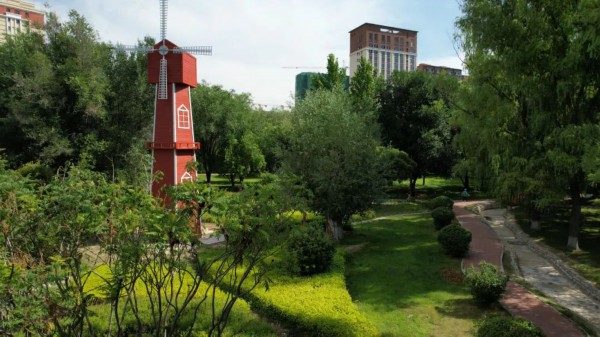 50万余株绿植扮火狐电竞靓霍尔果斯(图1)