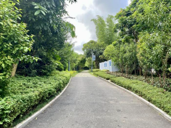 火狐电竞市绿化管理处开展道路绿化（绿道）防汛防台风安全生产检查(图2)