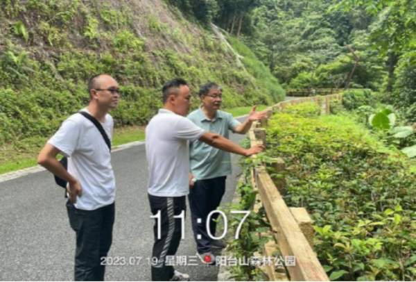 火狐电竞市绿化管理处开展道路绿化（绿道）防汛防台风安全生产检查(图1)
