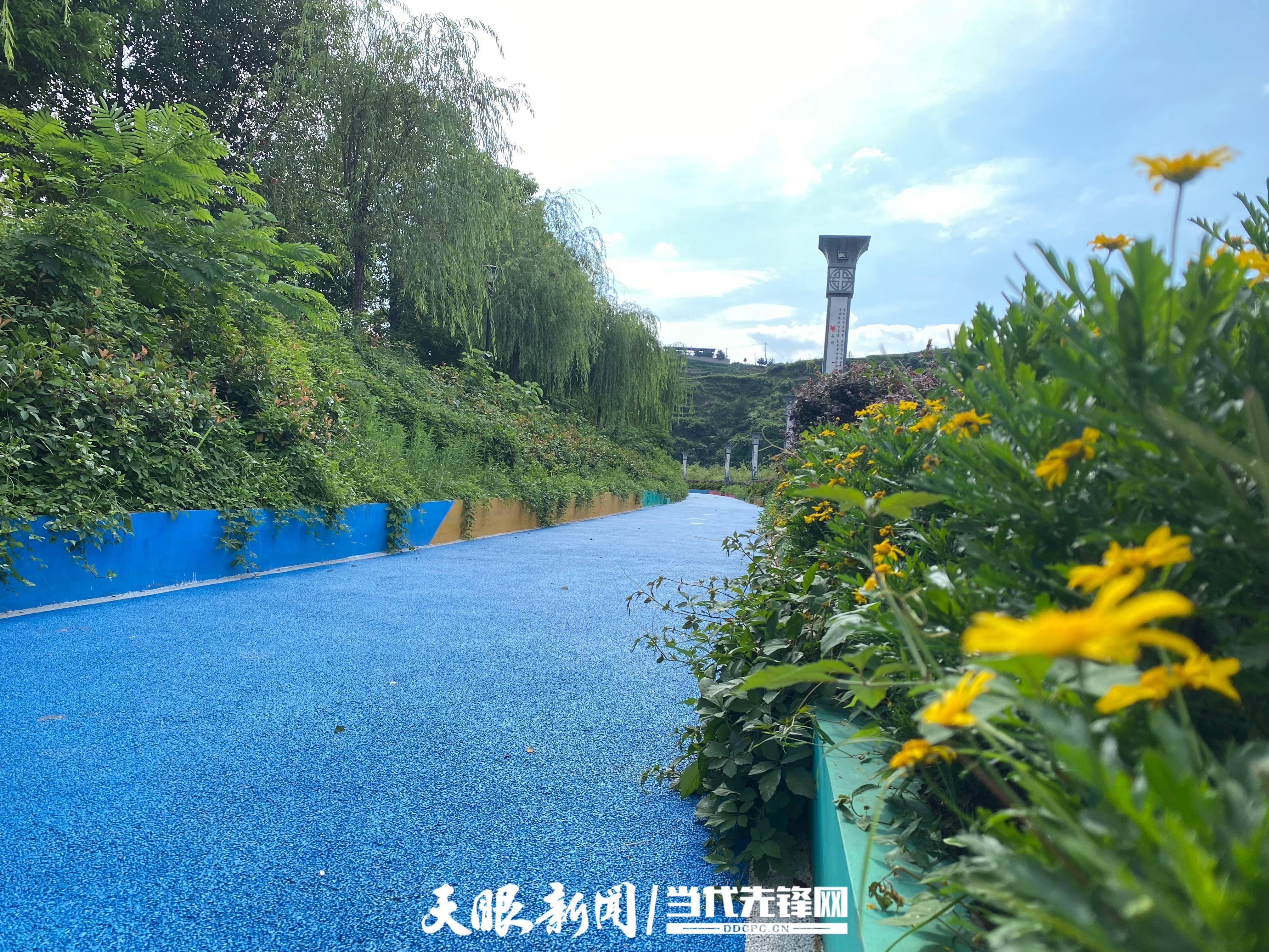 印江：城市绿化扮靓城市“颜值”火狐电竞(图1)