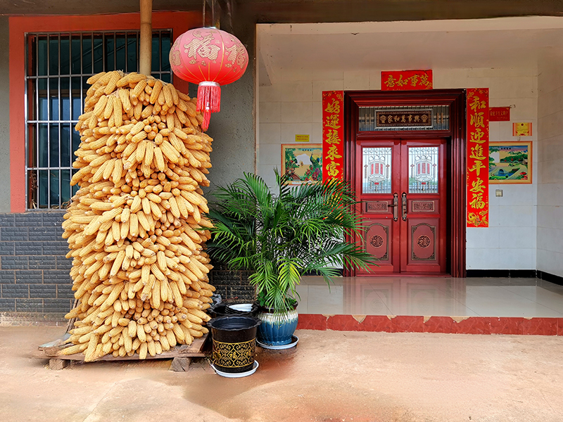 云南景谷：推进城乡绿化美化 打造宜居生火狐电竞态(图1)