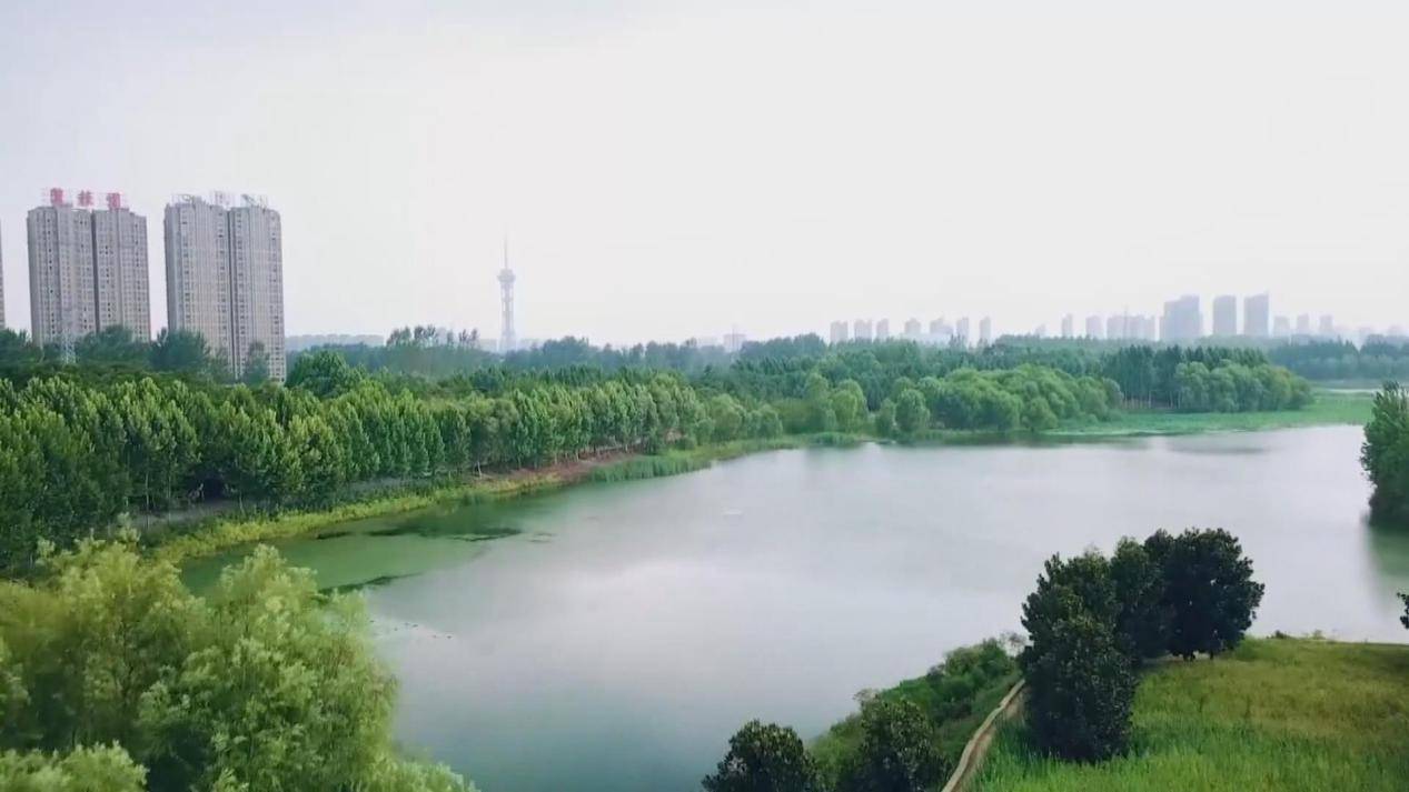 周口：造林绿化1087万亩 超额火狐电竞完成年度目标任务(图4)