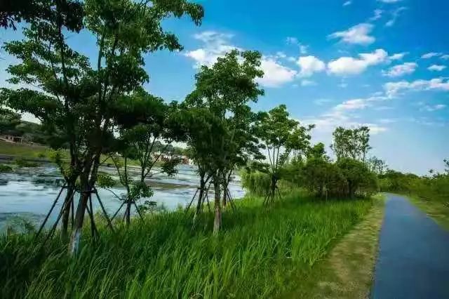 东火狐电竞方园林-陈家湾湿地公园案例(图8)