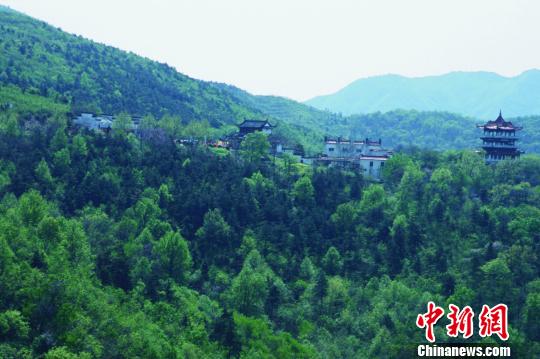 火狐电竞安徽巢湖林业“愚公”：自研14款软件 绿化5万亩荒山(图3)
