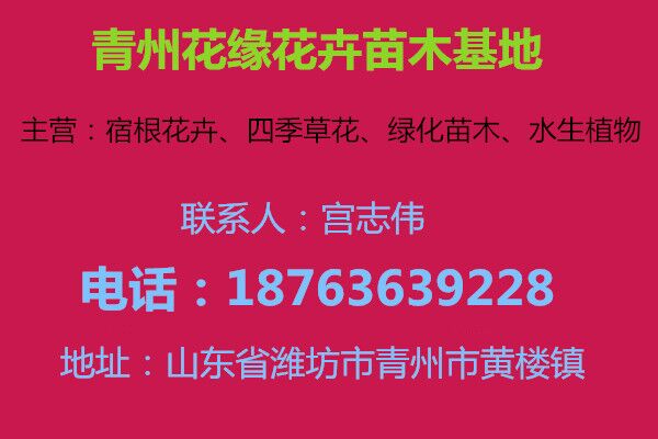 百科火狐电竞介绍绿化苗木(图1)