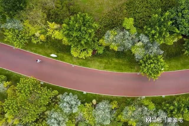城市中的绿色宝藏：探索绿化带和公园火狐电竞的魅力(图3)