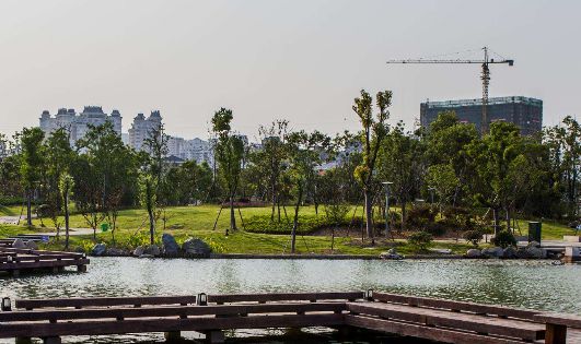 火狐电竞工程项目管理软件怎样管理园林工程项目？(图1)