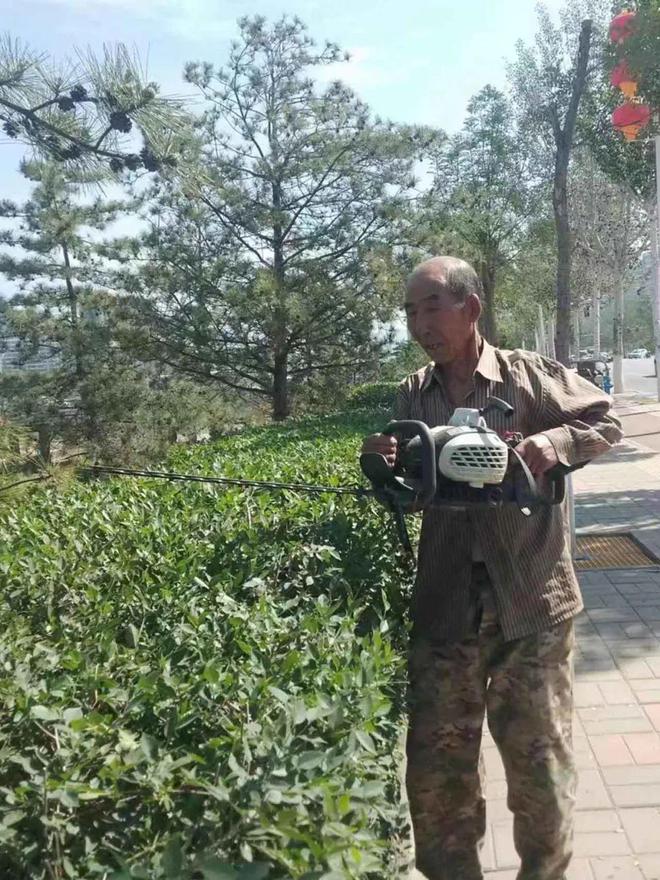 火狐电竞炎炎夏日 绿化养护正忙时—“四加强”开启夏季园林绿化养护模式(图2)
