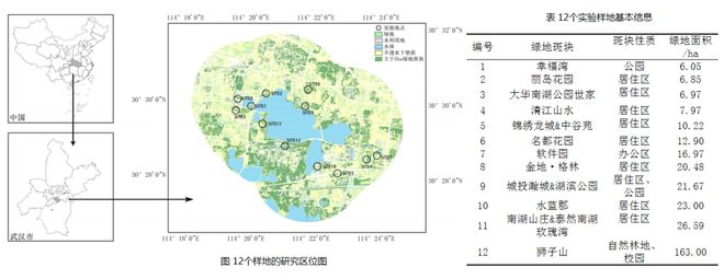 世界森林日 朱春阳：城市蓝绿空间建成环境生态功能提升的规划路径火狐电竞(图13)