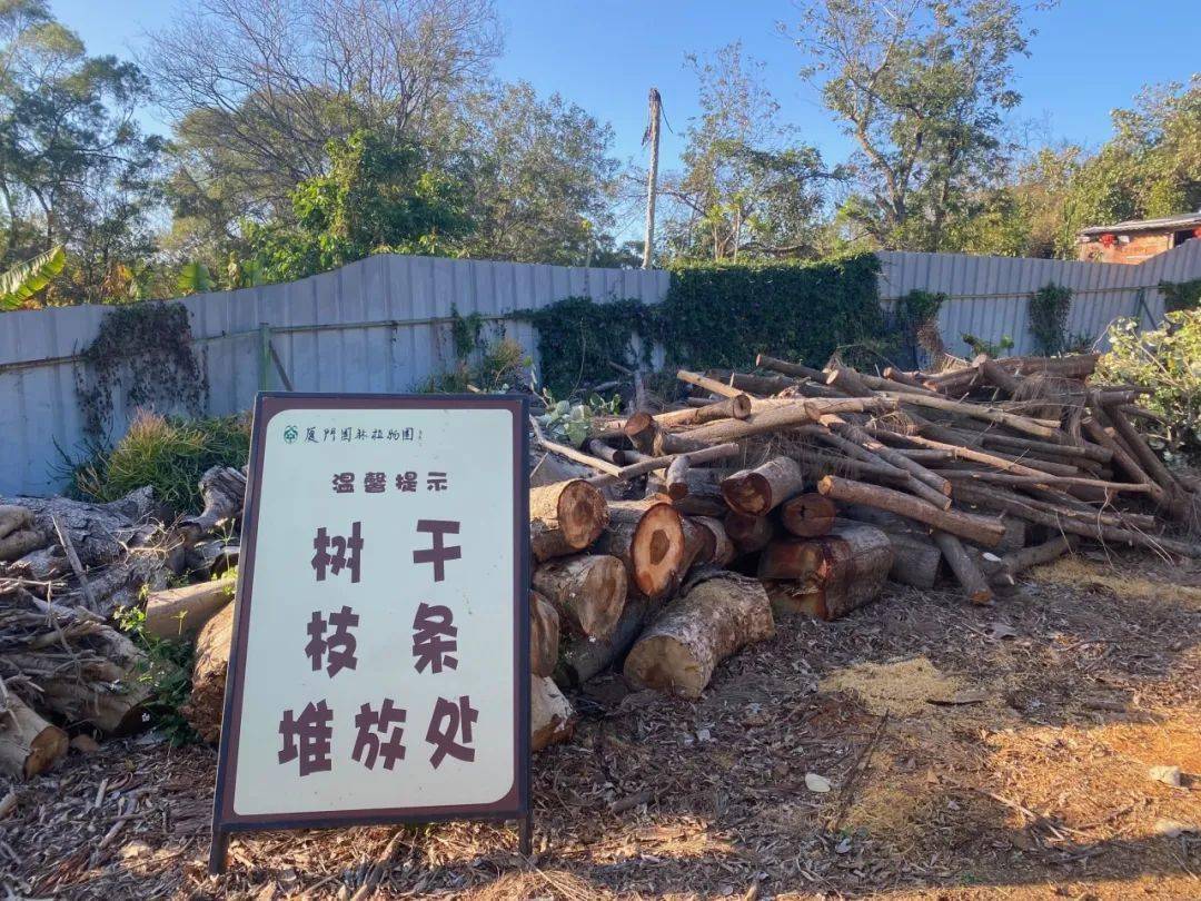 共享绿色生态火狐电竞！厦门园林植物园全力创建“无废景区”(图2)