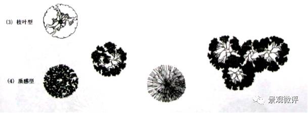 火狐电竞基础学堂 园林平面图绘制(图3)