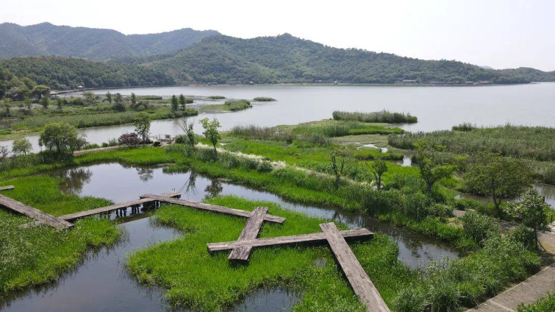 火狐电竞南京市园林规划设计院荣获2023年南京市优秀工程勘察设计奖(图16)