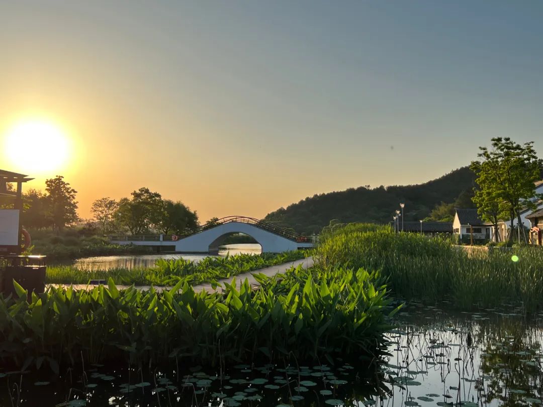 火狐电竞南京市园林规划设计院荣获2023年南京市优秀工程勘察设计奖(图15)