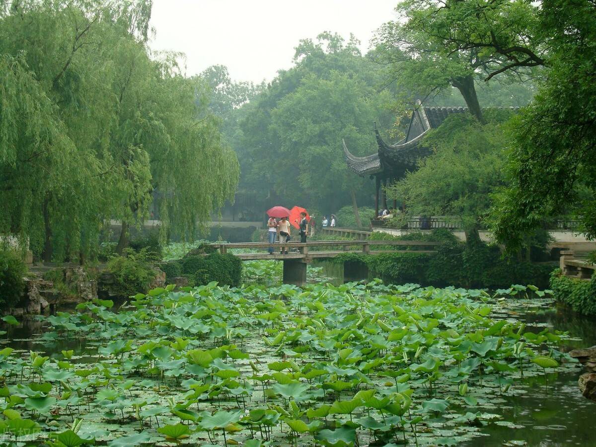 火狐电竞园林绿化中植物设计技巧(图1)