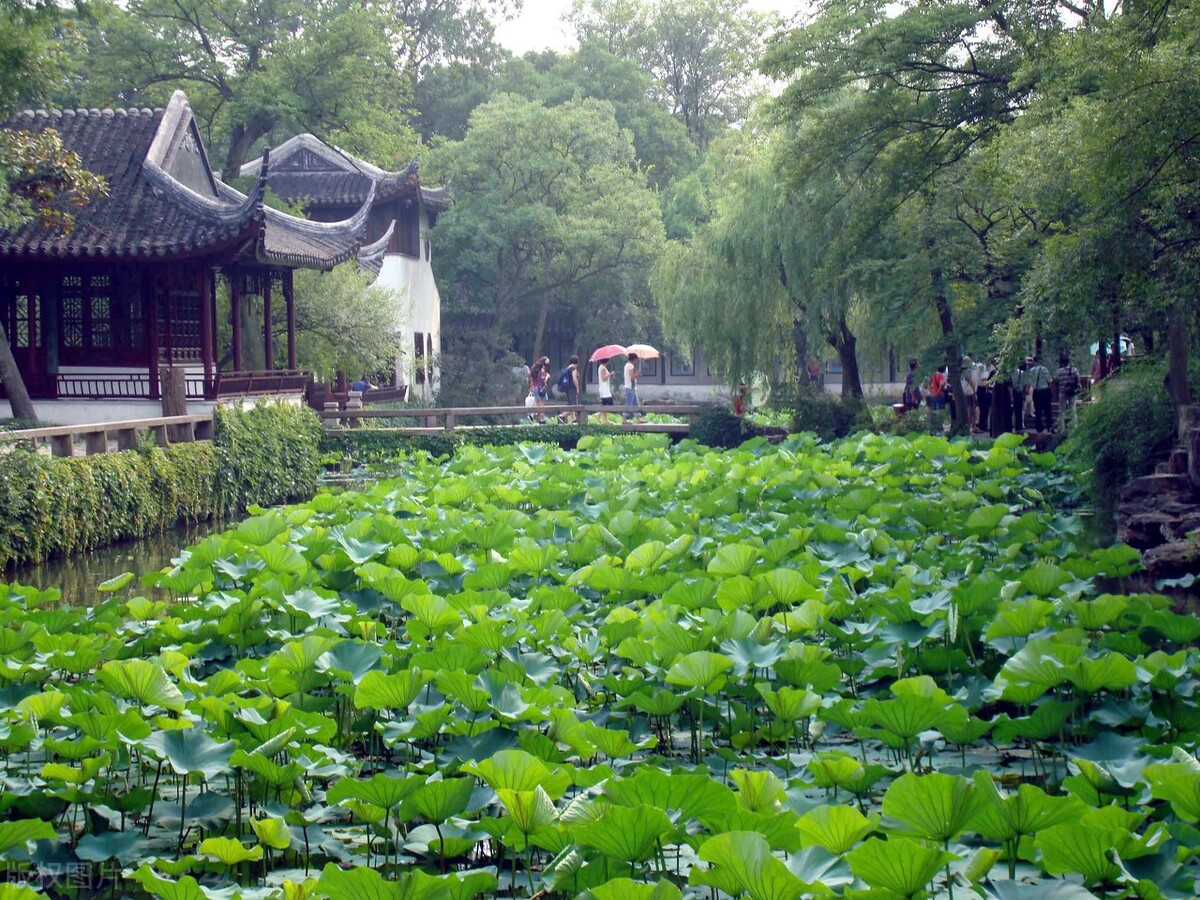 火狐电竞园林绿化中植物设计技巧(图3)