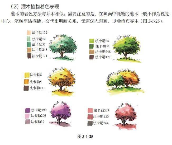 火狐电竞《园林景观手绘表现与快速设计》：快速掌握园林设计技能景观必修课！(图10)