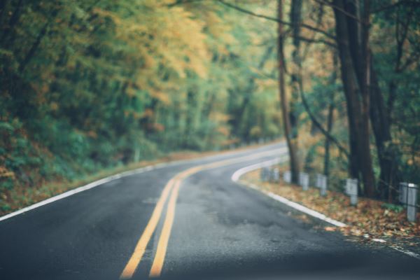 火狐电竞绿化设计说明(银行大楼绿化的设计说明)(图1)