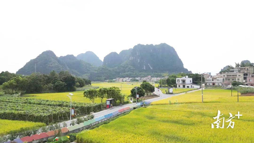 火狐电竞“一图一表”植绿护绿“双联双促”建设绿美阳春(图1)