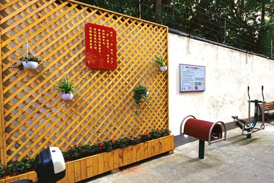 昭火狐电竞化东路199弄打造了一个“迷你版”的绿色植物生态园(图3)