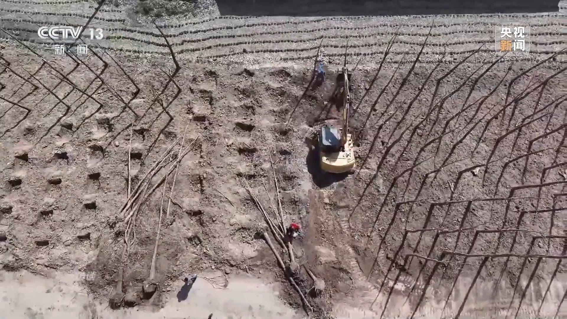 焦点访谈丨全民植火狐电竞树增绿 共建美丽中国(图9)