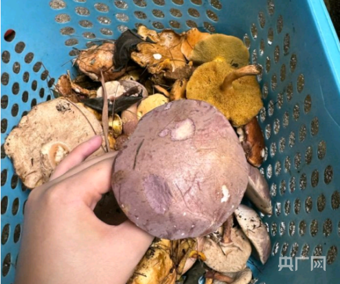 “消失”的火狐电竞农家乐(图7)