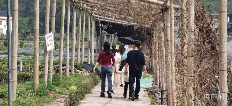 “消失”的火狐电竞农家乐(图5)
