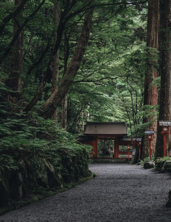 花园越“土”才越有味道！火狐电竞(图2)
