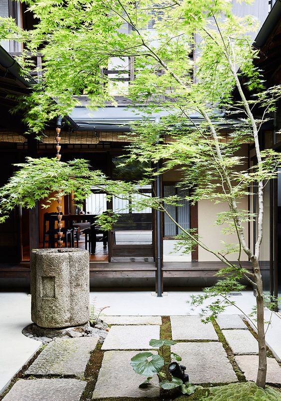 花园越“土”才越有味道！火狐电竞(图3)
