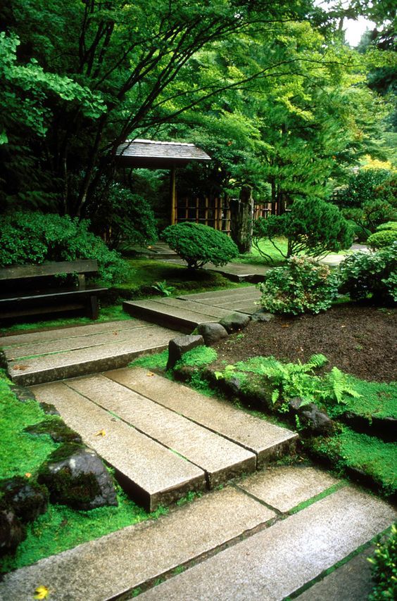 花园越“土”才越有味道！火狐电竞(图5)